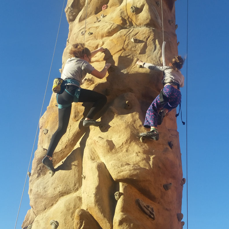 RockSport's Portable Climbing Wall- The Pinnacle